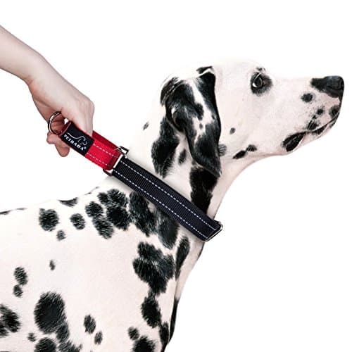 Martingale Dog Collar, PETBABAB No Pull Reflective Safe at Night Adjustable Nylon Walking Training Collar with Quick Release Buckle to Control Pet in Heavy Traffic - L in Red