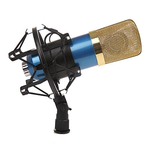 Dolotu BM Series Dynamic Condenser Microphone Sound Studio Recording Mic+ Shock Mount + Microphone Windshield- Professional Studio Broadcasting & Recording Microphone SetEnjoying Singing Speaking High Party (BM700, Blue)