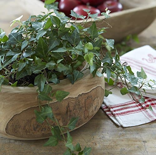 Scandinavian Solid Carved Rustic Wooden Bowl or Planter