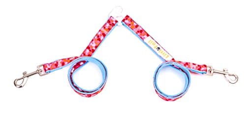 LittleTail Double Dog leash Coupler 2 in 1 Pets Training Leash Easy Walk for Small Medium and Large Dogs Blue