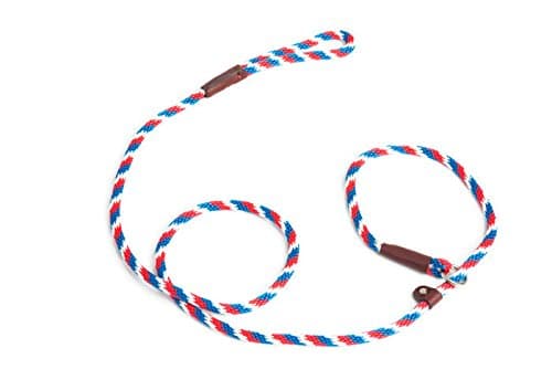 Rover on Main Slip Lead Dog Leash by for Training by Cesar Milan Six Feet Multiple Colors Made in The USA