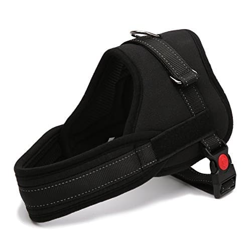 Geartist PH01 Front Range Dog Harness, Reflective Adjustable &amp; Durable Dog Body Padded Vest, Easy On Easy Off Design Perfect for Small Medium Large Dogs (L)