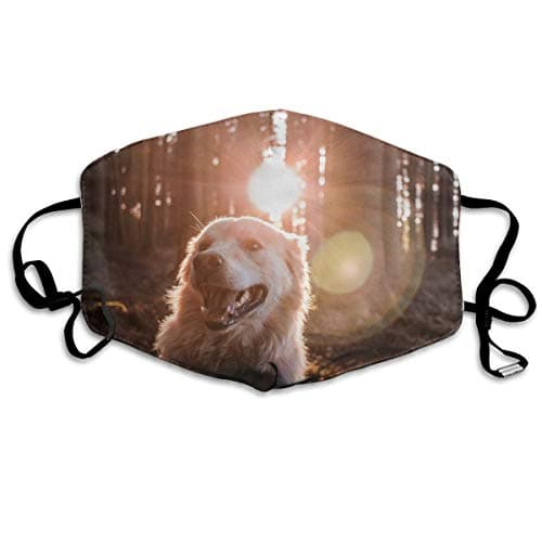 Thuth Dog in Forest with Sun Rays Dust-Proof Washable Mask - Reusable Mask - Suitable for Men and Women's Masks