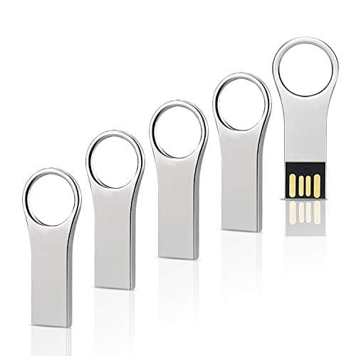 RAOYI 5 Pack 16GB USB Flash Drive USB 2.0 Metal Thumb Drives Mini Waterproof Jump Drive Memory Stick Key Shaped Silver