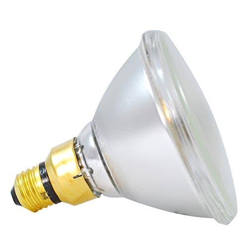 120W 120V PAR38 Spot Bulb