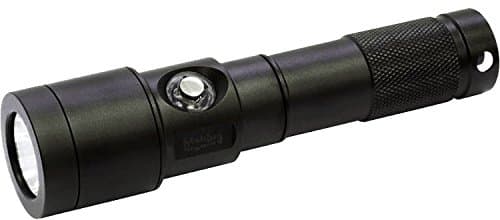Big Blue AL900NP 900 Lumens Light