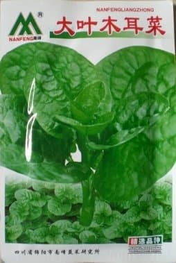 Siam Circus Vegetable seeds big malabar spinach seeds soft bean curd dishes Malabar nightshade blusher 20g PCS / bag Decor Pots