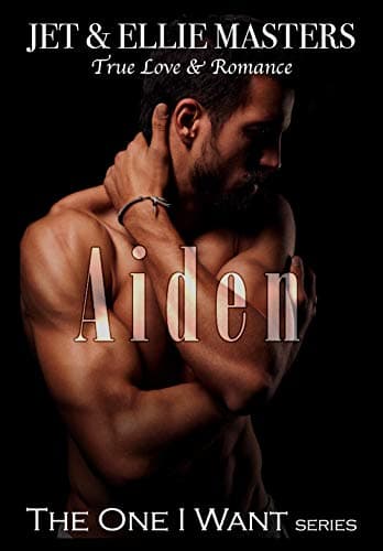 Aiden: A Single Dad, Second Chance Romantic Suspense (The One I Want)