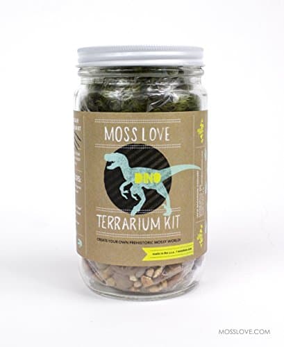 * Dinosaur * DIY Moss Terrarium Kit - popular unique fun gift or project! Reg $42