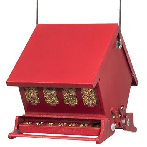 Heritage Farms Squirrel Proof Bird Feeder