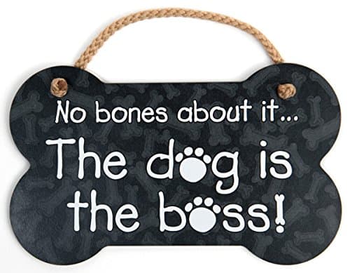 Bone-Shaped Wood Sign with Rope - "No Bones About it...The Dog is the Boss!"