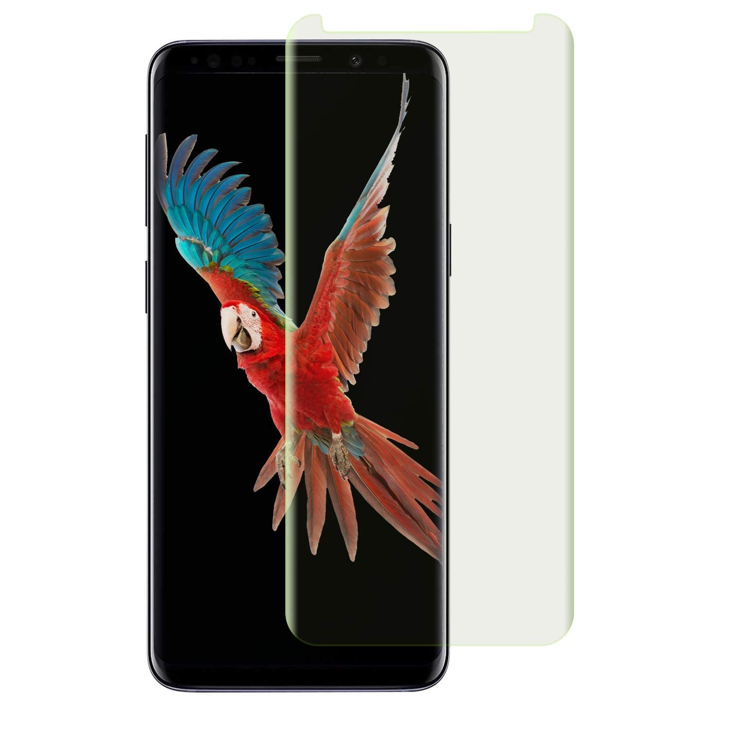 Organic Stem Cell Cream For Acne 1.7oz