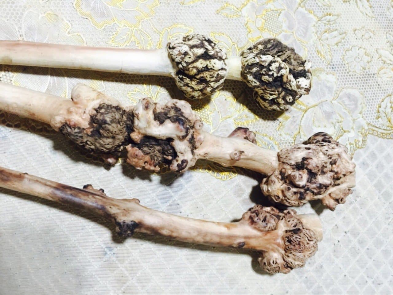 Massage Stick Trigger Point Massager Natural Root Wooden Roller (Root)