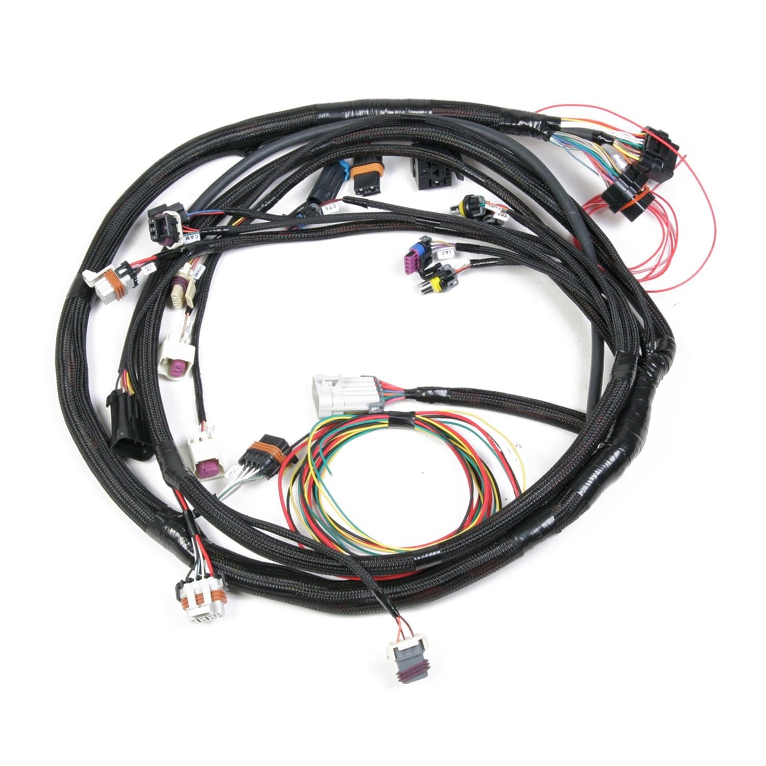 Holley 558-103 LS2 Main Harness