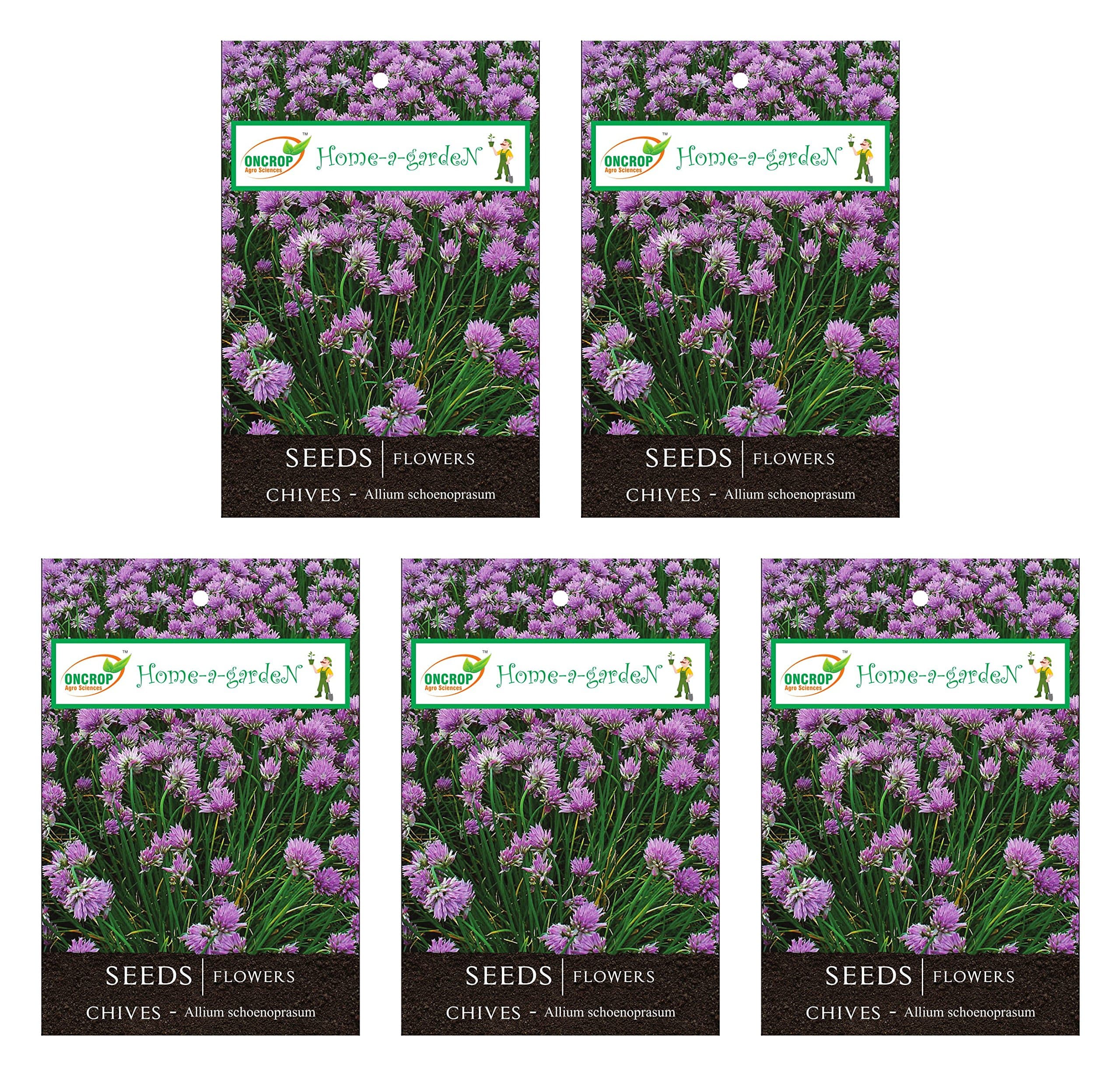 ONCROP CHI01-5 Chives Seeds (White, 2.5 Grams, Pack of 5)