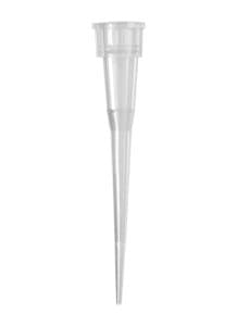 AXYGEN - Axygen 10µL Max Rec Microvolume Pipet Tips, NF, Cl r, Bulk Pack, PK1000