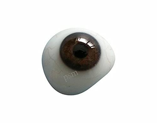 PSM® BEST Dark Brown Artificial Prosthetic Eye Left Side Eye