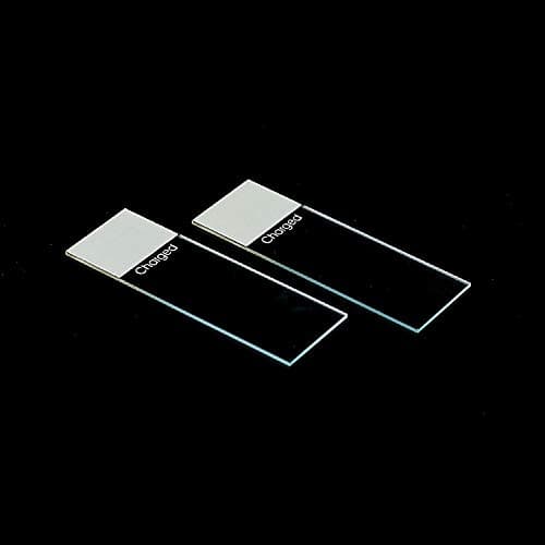 Positively Charged Glass Microscope Slides (2 Units, 72/Unit) – Ground Edge, Adhesive/Frosted Glass Slide Set – Essential Microscope Accessories for Standard Science Lab Equipment