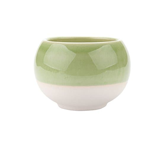 3 inch Succulent Planter Pots Ceramic with Trays Pack of 2, Ball Shape Cactus Planters Container Wildowsill Boxes with Bamboo Saucers Pink & Green