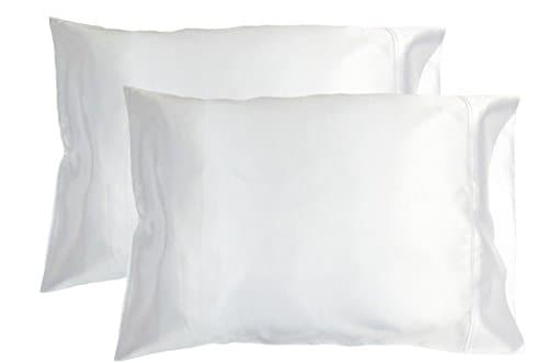 2pc New Queen/Standard Silk~y Satin Pillow Case Multiple Colors (White)