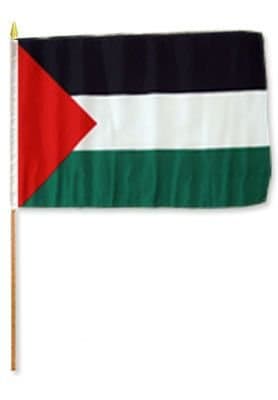 Palestine 12x18in Stick Flag