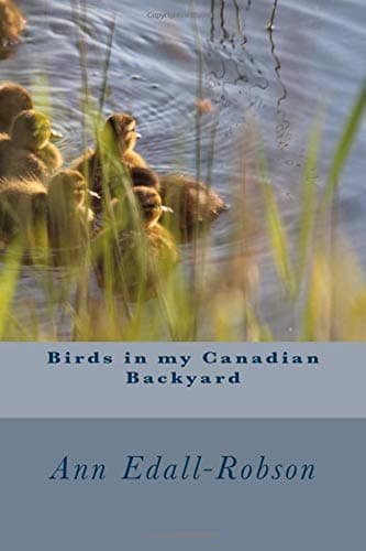 Birds in my Canadian Backyard: 1