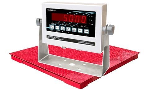 TSM5-55-A Floor Scale, 5,000 x 1 lb Capacity, 5' x 5' Deck, TS-700 MS Indicator