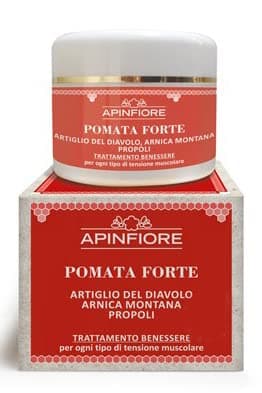 STRONG OINTMENT DEVIL'S CLAW AND ARNICA MONTANA 100ml