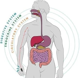 Shrustam Sugar Control LI4 Acupressure Point Clip | Headache, Migraine &Tension Relief | Light Weight Handheld Massager Pack of 1, Black