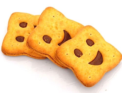 French Chocolate Biscuits "BN Chocolat" 295g