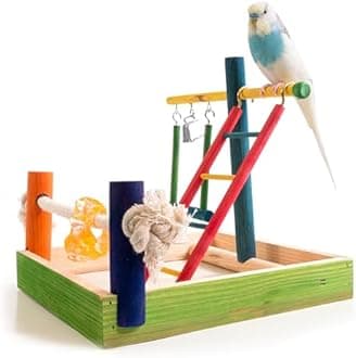 Penn-Plax Bird Life Wooden Playpen ââ‚¬â€œ Perfect for Parakeets, Lovebirds, and Parrotlets ââ‚¬â€œ Small
