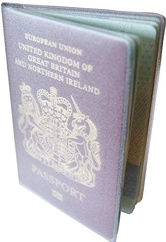 Passport Cover Holder Jacket Wallet Protector Frosted Plastic