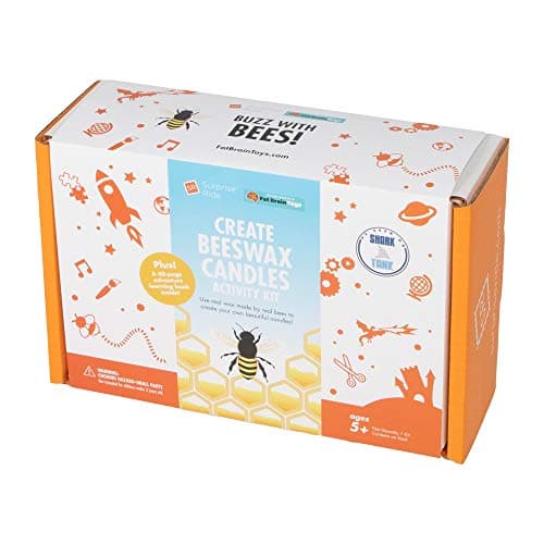 Surprise Ride Build Beeswax Candles Activity Kit STEM Learning