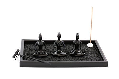 biorhythm "Modern Enlightenment" Medium Desktop Zen Garden