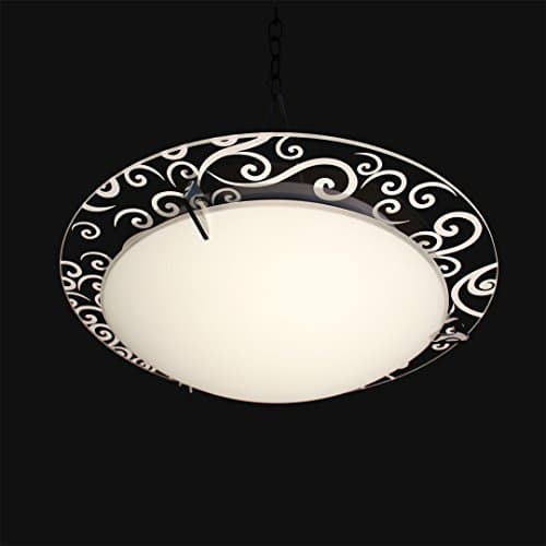 2 Lights Ceiling Lights Fixture Flush Mount Ceiling Lighting for Bed Room, Living Room, Dining Room, Kitchen, Lobby, Hallway,Libraries, Restaurant, Church, Cafe, Shops, Railway Stations, Waitin(Clear)