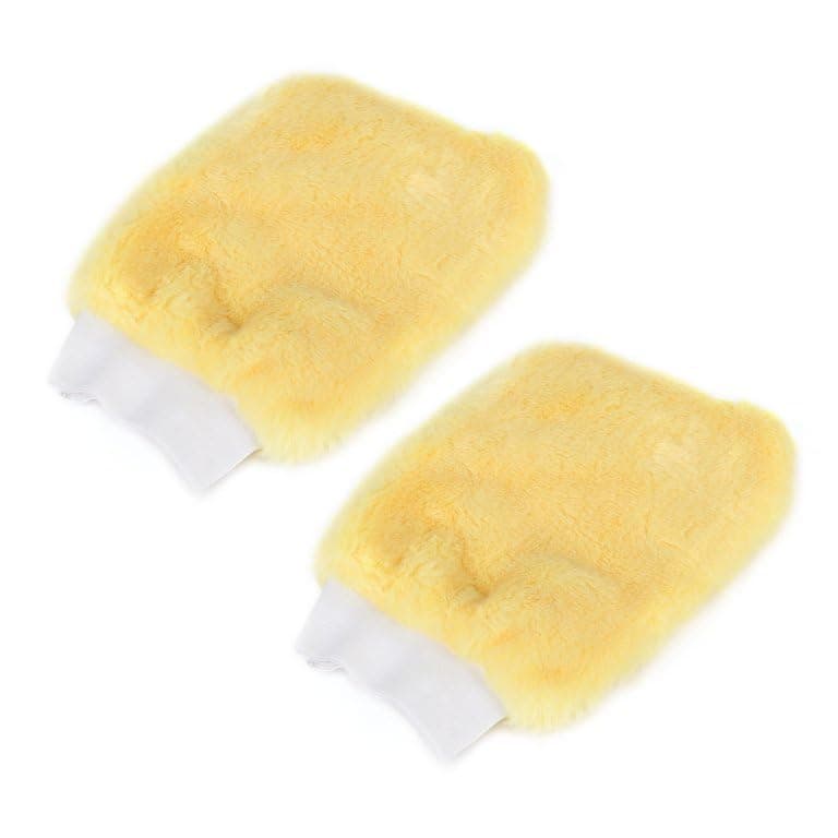(2pack) Car Wash Microfiber Gloves Soft Thickened Wool Plush Car Cleaning Mitt Double-Faced Glove
