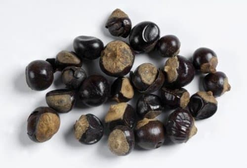 Guarana Seed Organic, 1 Oz. Bag