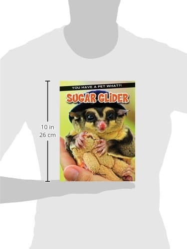 Sugar Glider (You Have a Pet What?!)