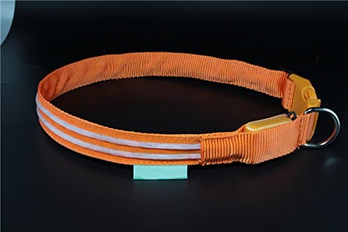 Keep Me Safe Illuminated Dog Collar (LARGE 19 1/2" to 24", Citrus Orange)