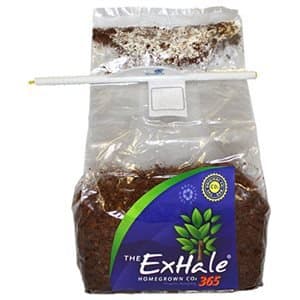 ExHaleCO2 ExHale 365-Self Activated CO2 Bag