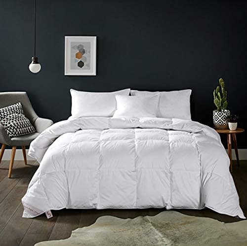 Soft Queen Size Comforter Duvet Insert-Down Alternative Comforter Quilted with Corner Tabs-Lightweight Breathable Brushed Microfiber Machine Washable (White,90”x90”)