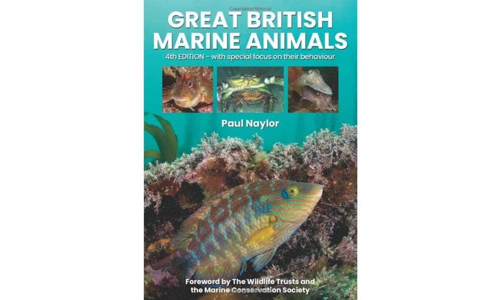 Great British Marine Animals