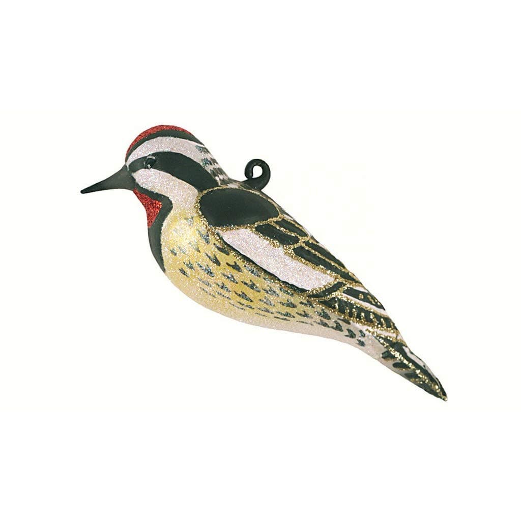 Cobane Studio LLC Yellow Bellied Sapsucker