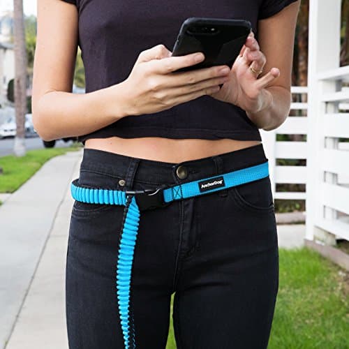 AnchorLeash - The Hands-Free Dog Leash That Clips Around Objects and People