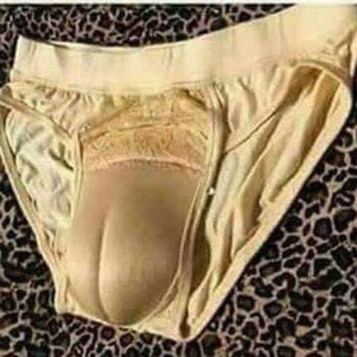 Camel Toe Panties (XL, Beige)