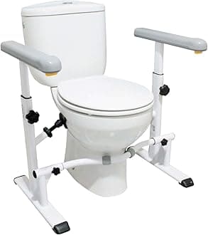 TOILET FRAME