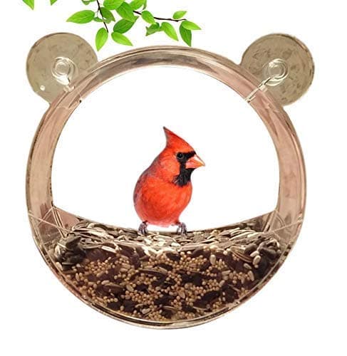 Premium Clear Window Mounted Bird Feeder with Extra Strong Suction Cups - Best Bird Feeder for Wild Birds - Unique Round Design Squirrel Proof and Weatherproof