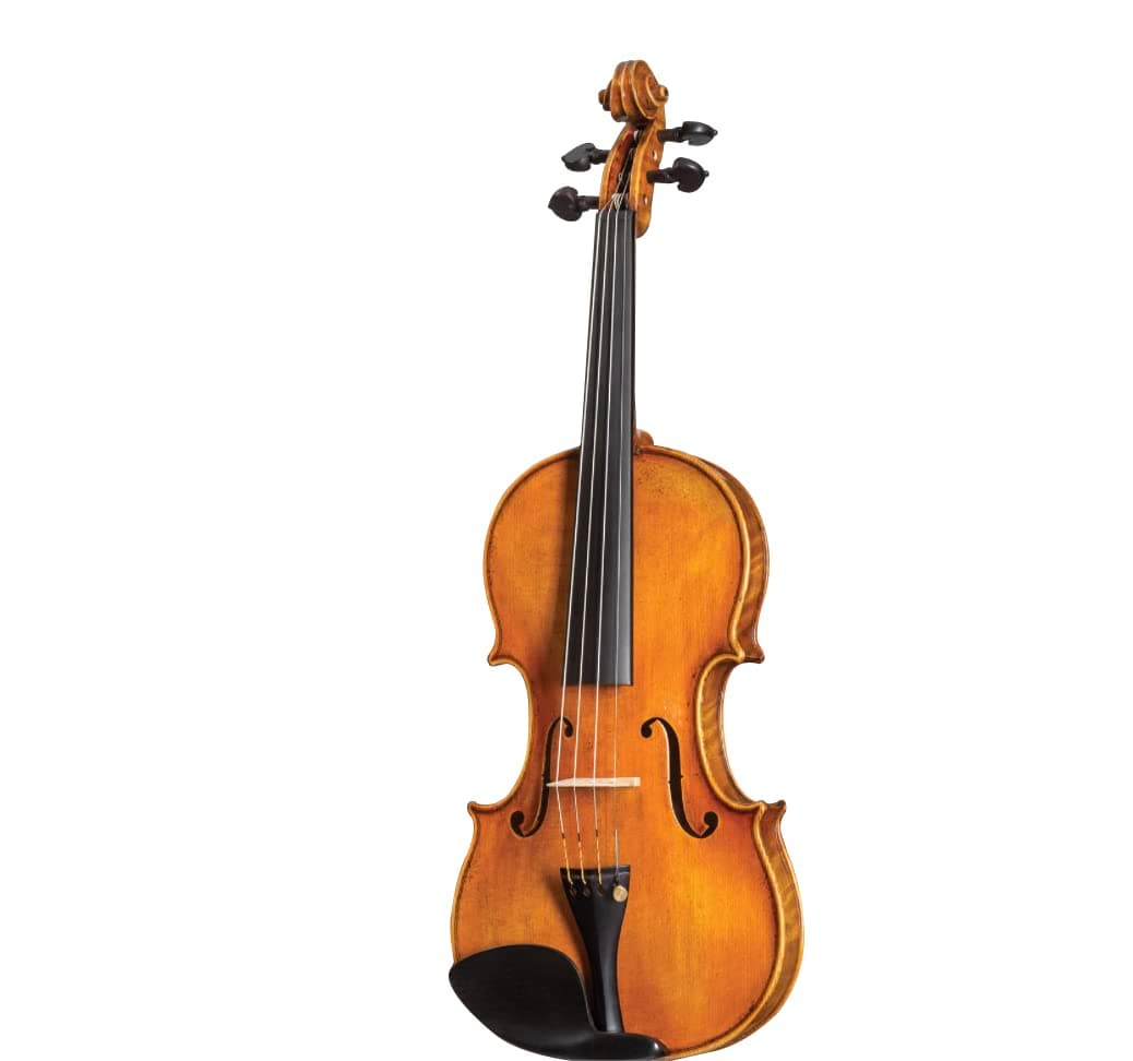 D Z Strad Violin Model 800 Full Size 4/4 with Dominant Strings, Bow, Case and Rosin (Full Size - 4/4) (4/4 - Full Size)