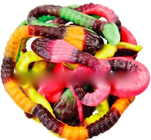 Garden Snakes Gummy Candy Bulk ~ 1lb