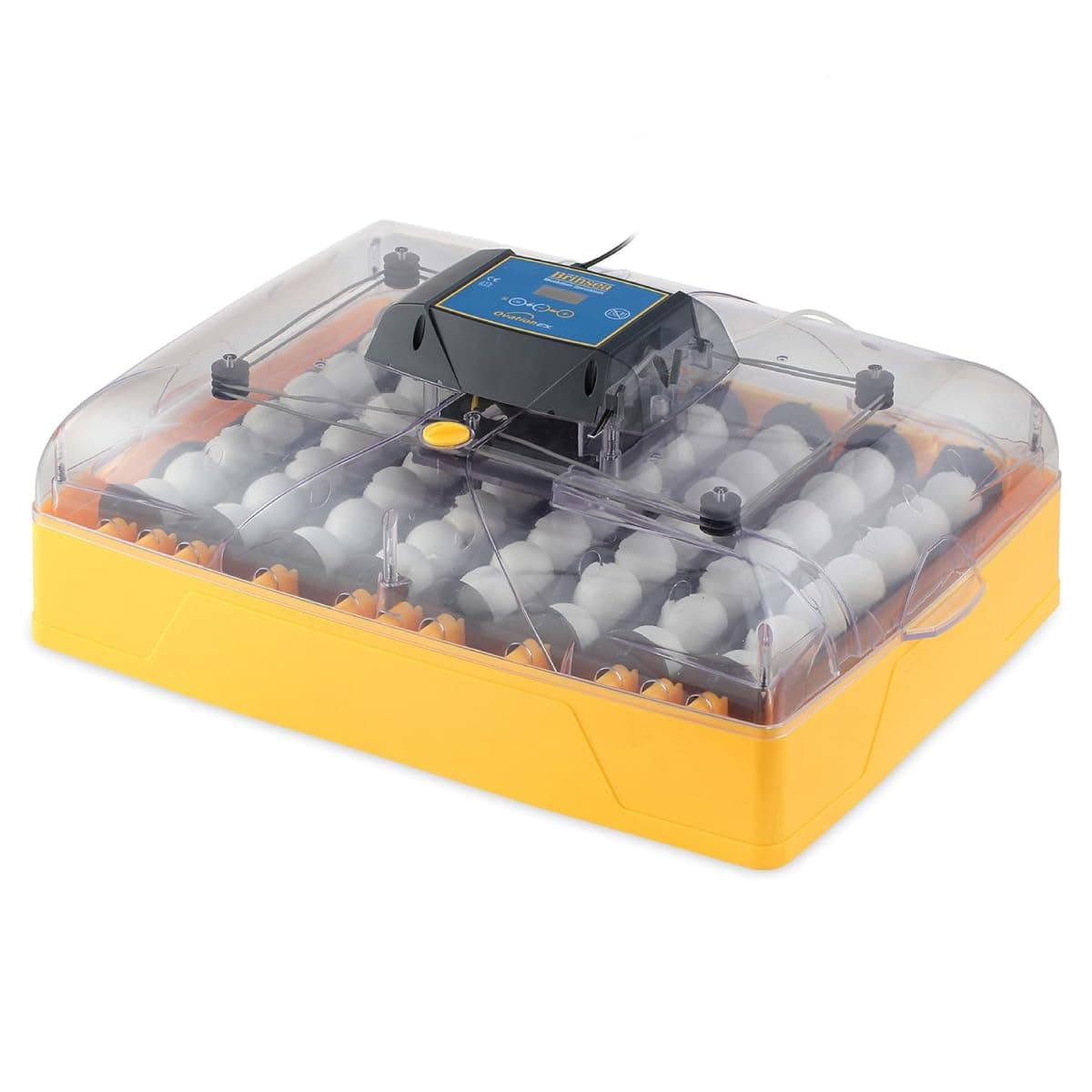 Ovation 56 EX Egg Incubator With Automatic Egg Turning and Humidity Control for Hatching 56 Chicken, Duck, Other Bird Eggs, Precision Digital Controls, Temperature Alarms